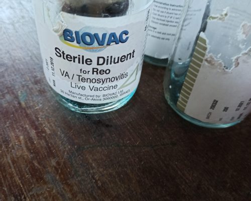 Vaccines for DOC (2)